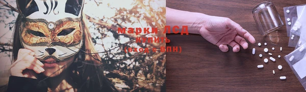 ГАЛЛЮЦИНОГЕННЫЕ ГРИБЫ Алзамай