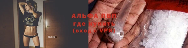 гашик Пестово