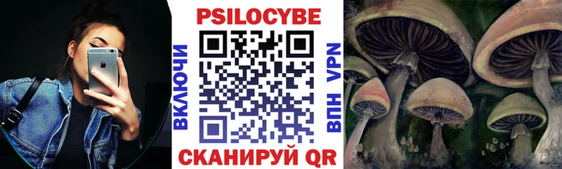 kraken онион  Жигулёвск  Псилоцибиновые грибы ЛСД 