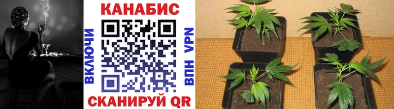 МАРИХУАНА план  кракен маркетплейс  Жигулёвск 